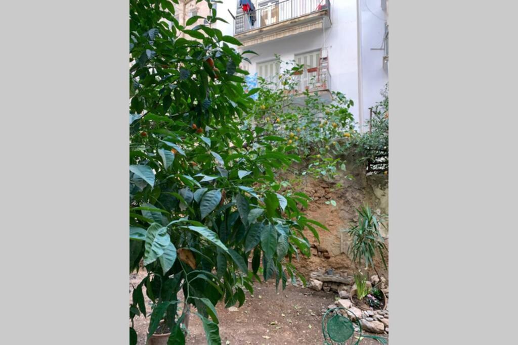 אתונה Quiet And Central Flat With Private Backyard Garden מראה חיצוני תמונה