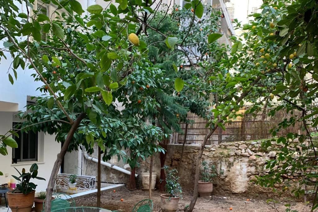 אתונה Quiet And Central Flat With Private Backyard Garden מראה חיצוני תמונה